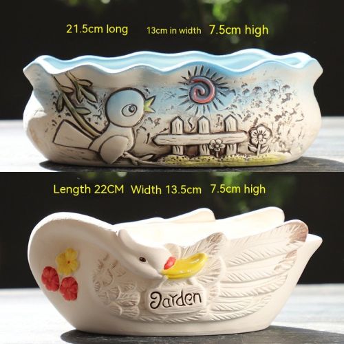 Large Succulent Flower Pot Ceramic