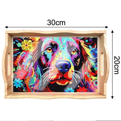 New Diamond Painting Dinner Plate DIY Handmade